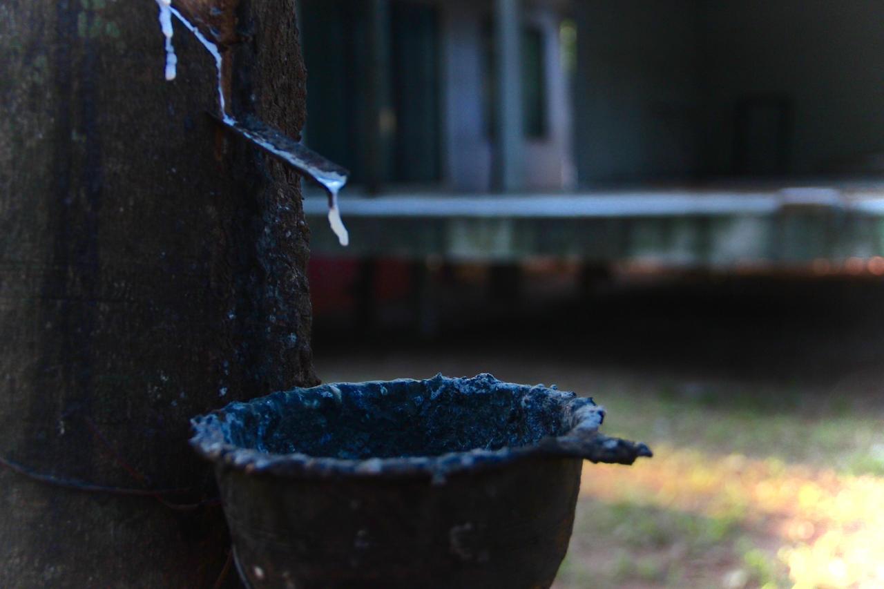 Singha Rubber Tree Ξενοδοχείο Ban Huai Maenam Noi Εξωτερικό φωτογραφία
