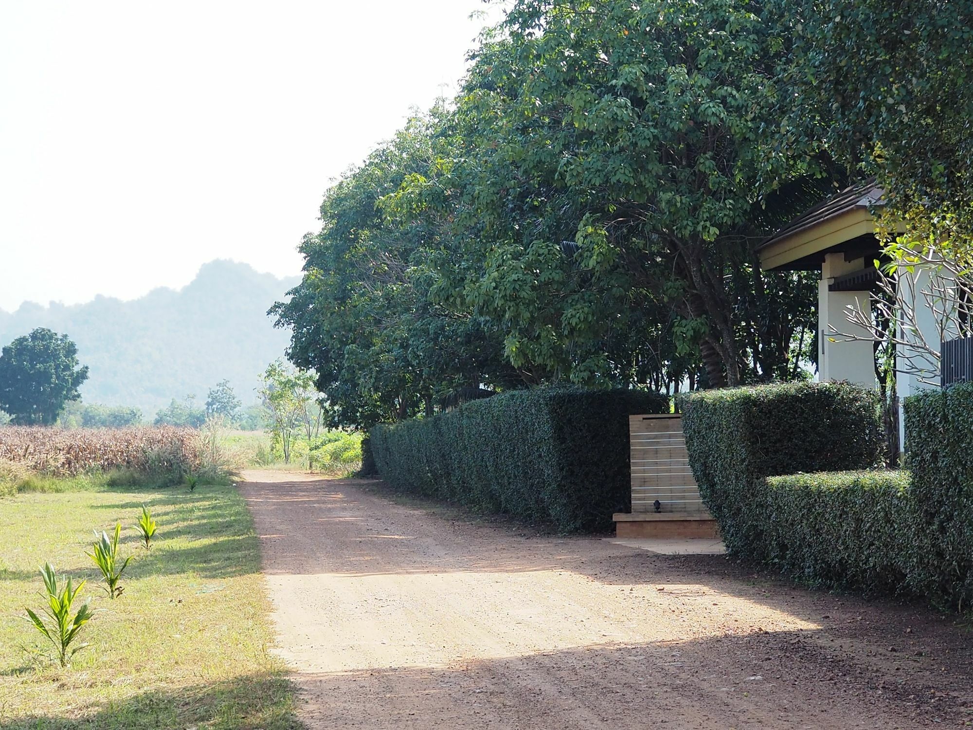 Singha Rubber Tree Ξενοδοχείο Ban Huai Maenam Noi Εξωτερικό φωτογραφία